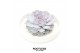 Arrangementen succulenten rootless echeveria lilacina in tapir bowl 