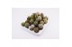 Cactus mix 18 soorten 