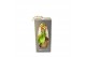 Phalaenopsis mini Gift Package Orchid 2 tak 