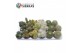 Cactus mix Sierras® - Granada Cactus Mix (Prime) 