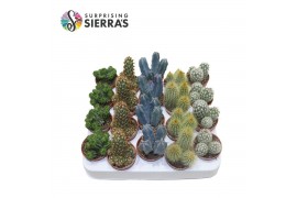 Cactus mix Sierras® - Granada Cactus Mix (Prime) 1 pp