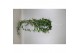 Hedera anna helix 17pp - 90-100cm Rank - Hangpot XXL 