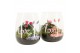 Arrangementen kamerplanten 21785: Valentines day arrangement 2 pp 