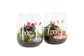 Arrangementen kamerplanten 21785: Valentines day arrangement 2 pp