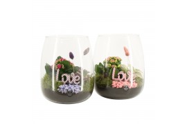 Arrangementen kamerplanten 21784: Valentines day arrangement 2 pp