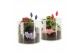 Arrangementen kamerplanten 21601: Valentines day arrangement 2 pp 