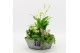 Arrangementen kamerplanten BACR-2514GR Basic fundamentals 3 pp 