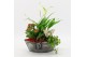 Arrangementen kamerplanten BACR-2514R Basic fundamentals 3 pp 