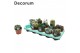 Cactus mix 10 soorten (Decorum) 