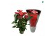 Anthurium andr. oklahoma royal 6+ 