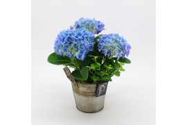 Arrangementen hydrangea KHCR-2509B Hydrangea creatie 2 pp