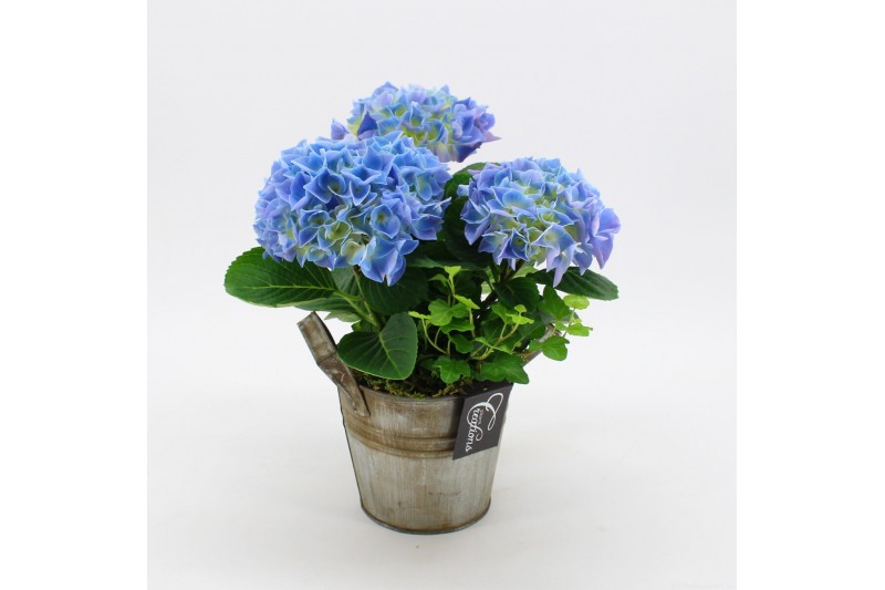 Arrangementen hydrangea KHCR-2509B Hydrangea creatie 2 pp Arrangementen hydrangea KHCR-2509B Hydrangea creatie 2 pp