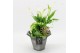 Arrangementen kamerplanten BACR-2513GR Basic fundamentals 2 pp 