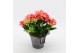 Arrangementen hydrangea KHCR-2509RZ Hydrangea creatie 2 pp 