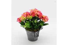 Arrangementen hydrangea KHCR-2509RZ Hydrangea creatie 2 pp