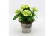 Arrangementen hydrangea KHCR-2509W Hydrangea creatie 2 pp 