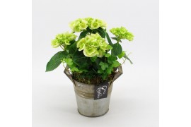 Arrangementen hydrangea KHCR-2509W Hydrangea creatie 2 pp