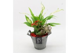 Arrangementen kamerplanten BACR-2513R Basic fundamentals 2 pp