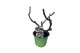 Ficus carica 