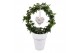 Hedera helix groen 9pp - 40-45cm Rank - Boog, Keramiek + Hart deco 