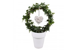 Hedera helix groen 9pp - 40-45cm Rank - Boog, Keramiek + Hart deco