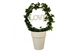 Hedera helix groen 9pp - 45-50cm Rank - Boog, Keramiek + Love deco