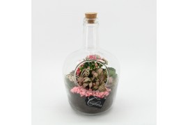 Arrangementen kamerplanten ESCR-2504RZ Essentials terrarium 2 pp