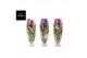 Vanda hybriden colour mix 012 in champagne glas 
