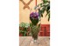 Vanda hybriden colour mix 012 in champagne glas 