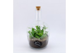 Arrangementen kamerplanten GRCR-2544 Green Essentials Terrarium 3 pp