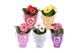 Gerbera mix MoreLIPS 2+ in tas 