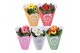 Gerbera mix MoreLIPS 2+ in papieren hoes 