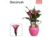 Zantedeschia mix decorum roze/wit in ompot melanie LOVE 
