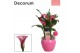 Zantedeschia mix decorum roze/wit in ompot melanie LOVE 