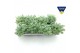 Sedum sieboldii 
