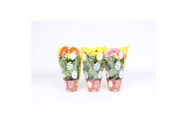 Gerbera mix belicht  paasei hoes