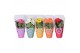 Gerbera mix MoreLIPS 2+ 
