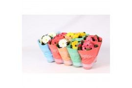 Gerbera mix tisento