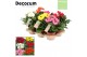 Gerbera mix 3+ bl  Feel Green, nature Decorum 