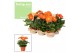 Gerbera flori line oranje Feel Green, nature Decorum oranje tinten 