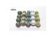 Cactus mix 5 soorten 