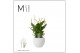 Spathiphyllum bellini 8+ bloem - Bolpot keramiek Wit, Decorum 