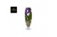 Vanda hybriden purple 203 in champagne glas 