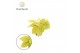 Philodendron scandens subsp. micans lime 