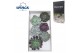 Echeveria snij Mix (wincx) Cutfl (6spc.) 999 