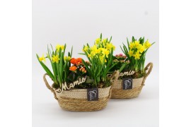 Arrangementen kamerplanten FGCR-2511 Voorjaarscreaties 3 pp