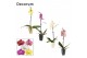 Phalaenopsis mix 1 tak, 9+ bloem - Carly keramiek - Neo Architect 