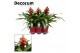 Guzmania Brush - Luxe keramiek 