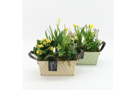 Arrangementen pasen PNCR-2509M Paas narcis creatie 3 pp