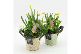Arrangementen pasen PNCR-2508M Paas narcis creatie 2 pp